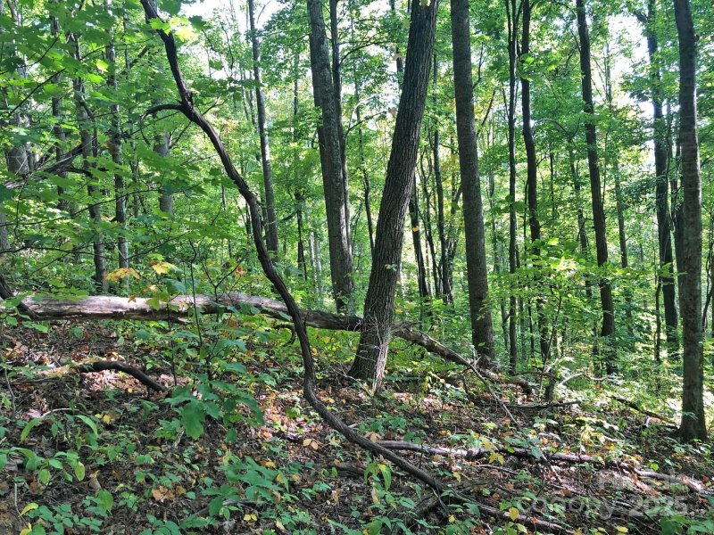 Property image 5 of 112 113 Grouse Road in Quail Cove, Clyde, NC 28721