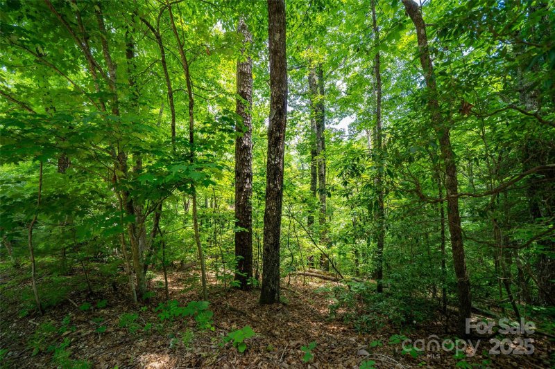 Property image 2 of 00000 Foster Hill Drive in Blue Ridge Estates, Hendersonville, NC 28739