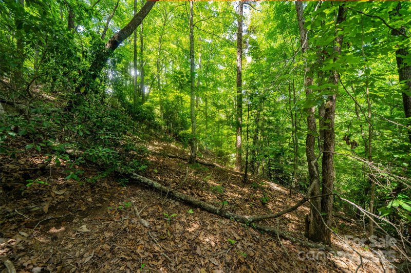 Property image 3 of 00000 Foster Hill Drive in Blue Ridge Estates, Hendersonville, NC 28739