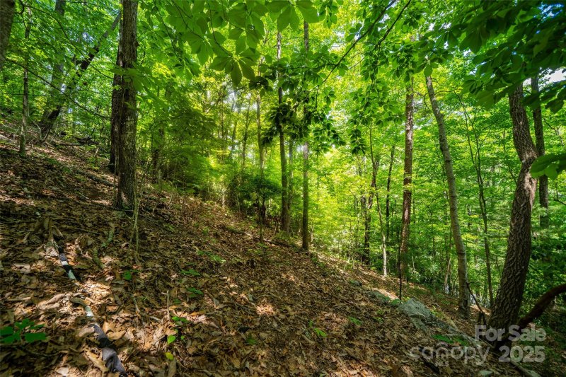 Property image 4 of 00000 Foster Hill Drive in Blue Ridge Estates, Hendersonville, NC 28739