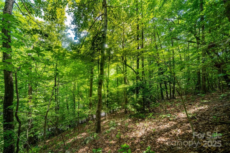 Property image 5 of 00000 Foster Hill Drive in Blue Ridge Estates, Hendersonville, NC 28739