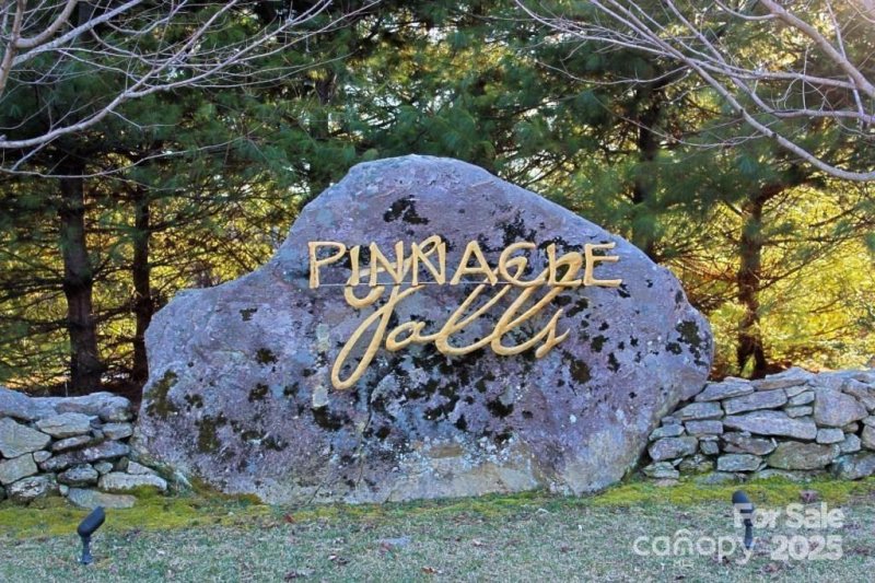 Property image 2 at 0 Pinnacle Falls Lane, Zirconia, NC 28790