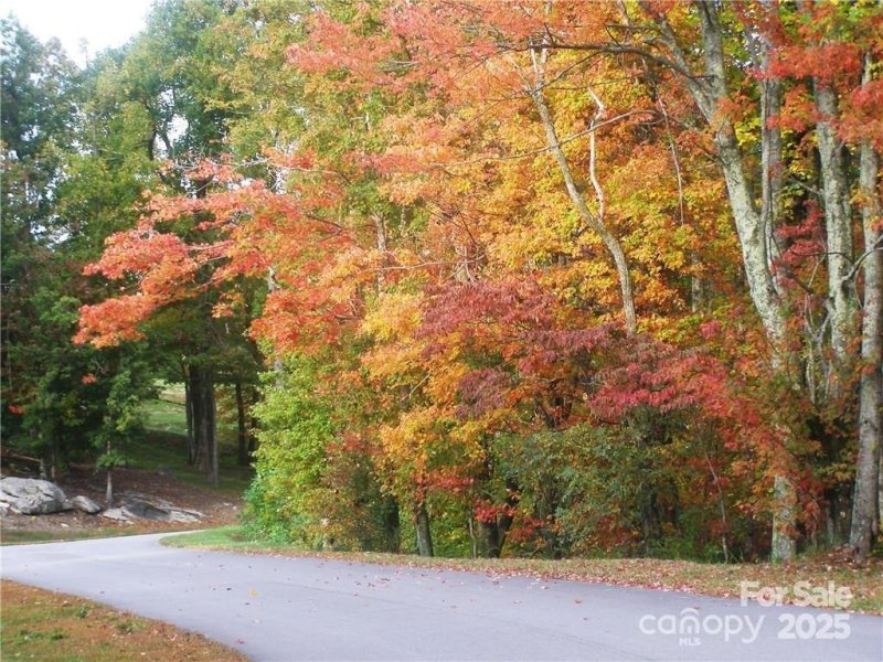 Property image 3 at 0 Pinnacle Falls Lane, Zirconia, NC 28790