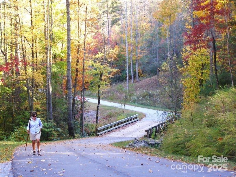 Property image 4 at 0 Pinnacle Falls Lane, Zirconia, NC 28790