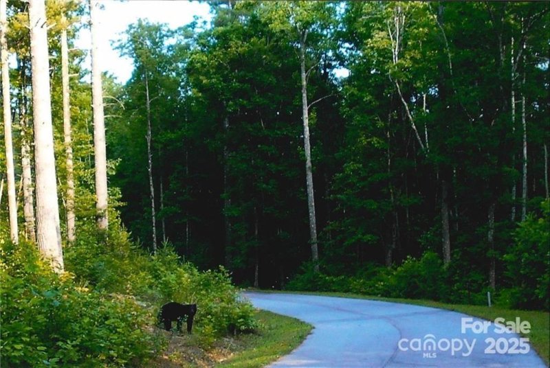 Property image 5 at 0 Pinnacle Falls Lane, Zirconia, NC 28790