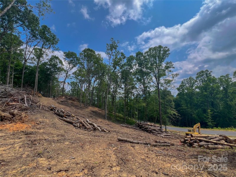 Property image 2 of 000 Northview Drive in Northview, Hendersonville, NC 28791