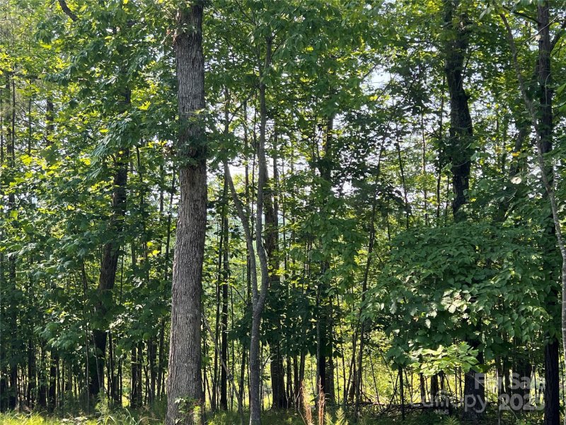 1015 Cross Ridge Drive