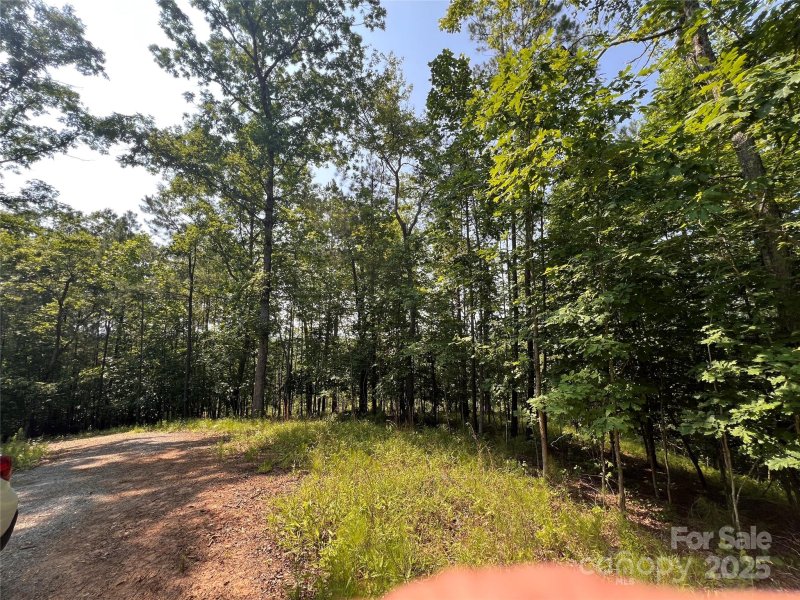 Property image 2 of 1015 Cross Ridge Drive in Green River Highlands, Rutherfordton, NC 28139