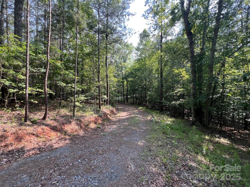 Property image 5 of 1015 Cross Ridge Drive in Green River Highlands, Rutherfordton, NC 28139