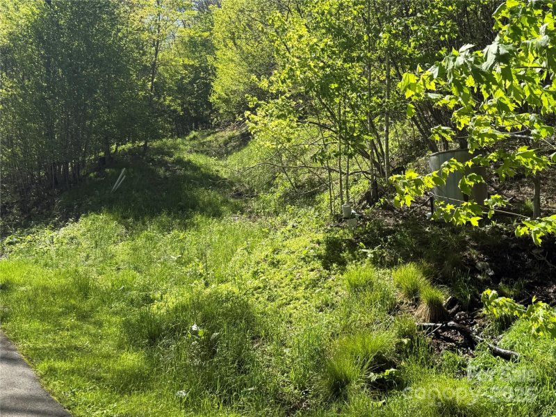 Property image 3 of 6 Wakeman Way in Fox Pointe, Banner Elk, NC 28604