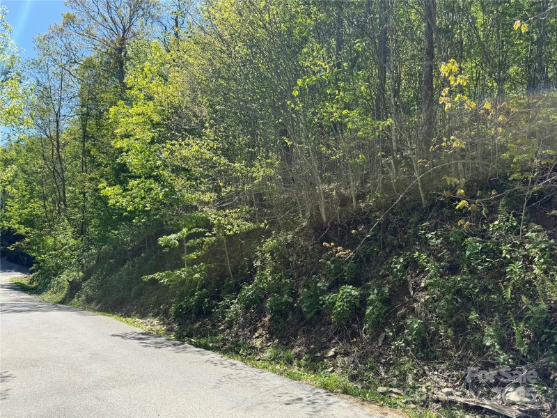 Property image 5 of 6 Wakeman Way in Fox Pointe, Banner Elk, NC 28604