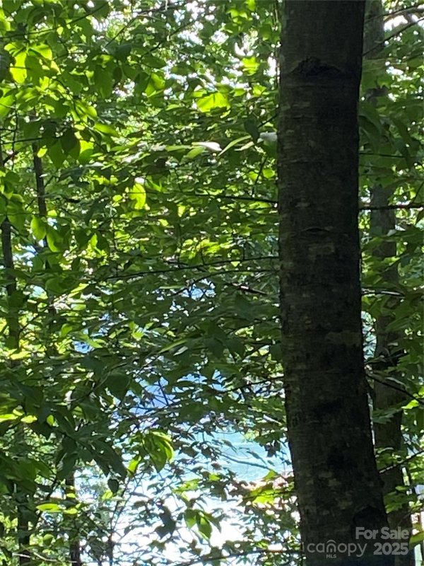 Property image 2 of 0 Falcons Avenue in Riverbend at Lake Lure, Lake Lure, NC 28746