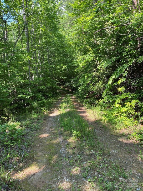 Property image 3 of 0 Falcons Avenue in Riverbend at Lake Lure, Lake Lure, NC 28746