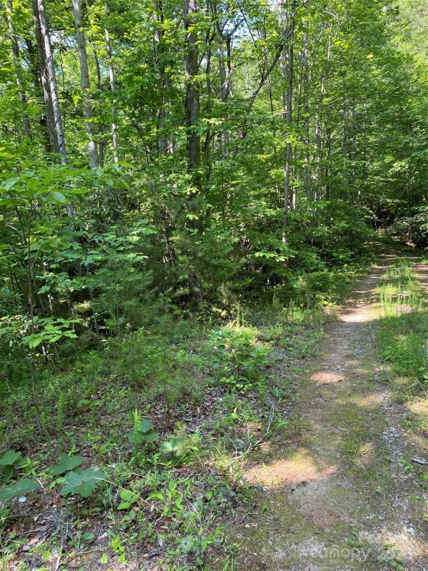 Property image 4 of 0 Falcons Avenue in Riverbend at Lake Lure, Lake Lure, NC 28746