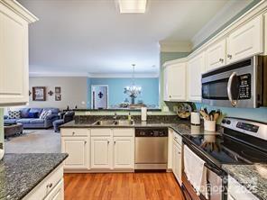 Property image 4 at 16423 Golden River Lane, Charlotte, NC 28277