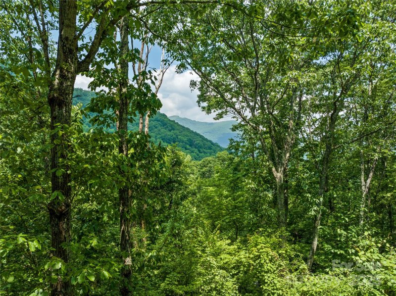 Property image 4 at 536 Tawodi Trail, Maggie Valley, NC 28751