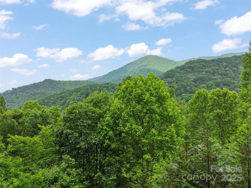 Property image 4 at 314 Prosperity Ridge, Waynesville, NC 28785