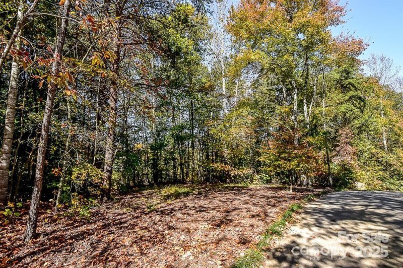 Property image 4 of 7668 Long Bay Parkway in Long Bay, Catawba, NC 28609