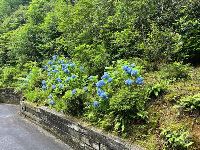 Property image 2 at 93 Wood Duck Court, Brevard, NC 28712