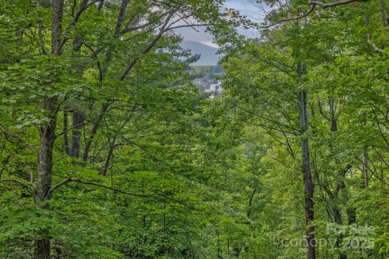 Property image 2 at 193 Falls View Drive, Lake Toxaway, NC 28747