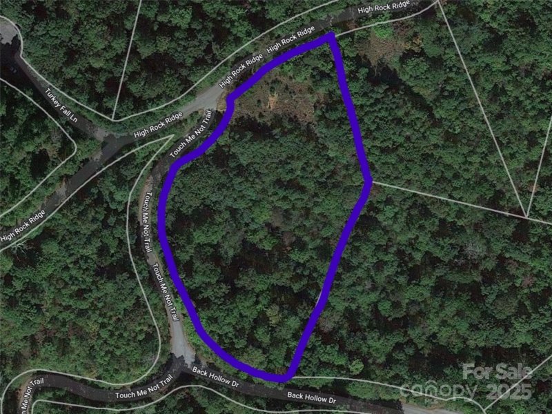 Property image 2 at Lot 9 High Rock Ridge, Lake Lure, NC 28746