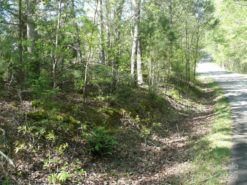 Property image 3 at Lot 9 High Rock Ridge, Lake Lure, NC 28746