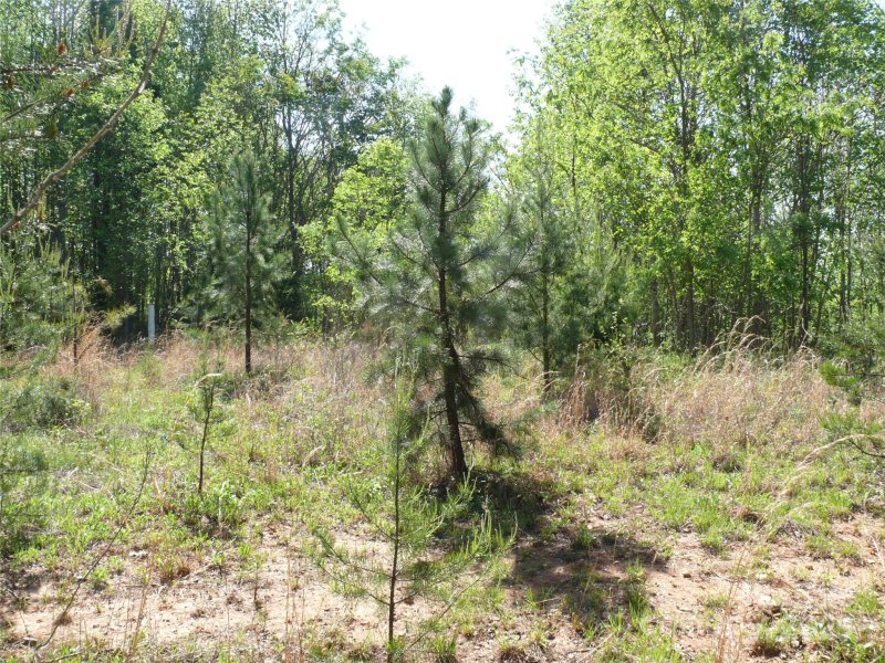 Property image 5 at Lot 9 High Rock Ridge, Lake Lure, NC 28746