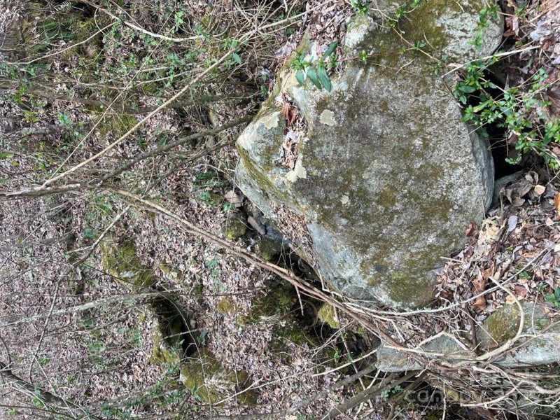 Property image 2 of 0 English Setter Trail in Barkers Creek Preserve, Whittier, NC 28789