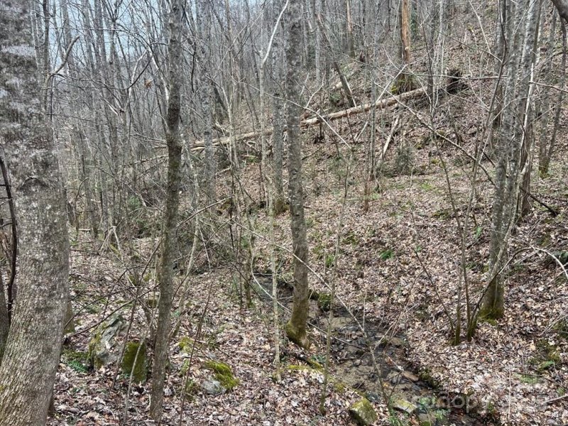 Property image 3 of 0 English Setter Trail in Barkers Creek Preserve, Whittier, NC 28789