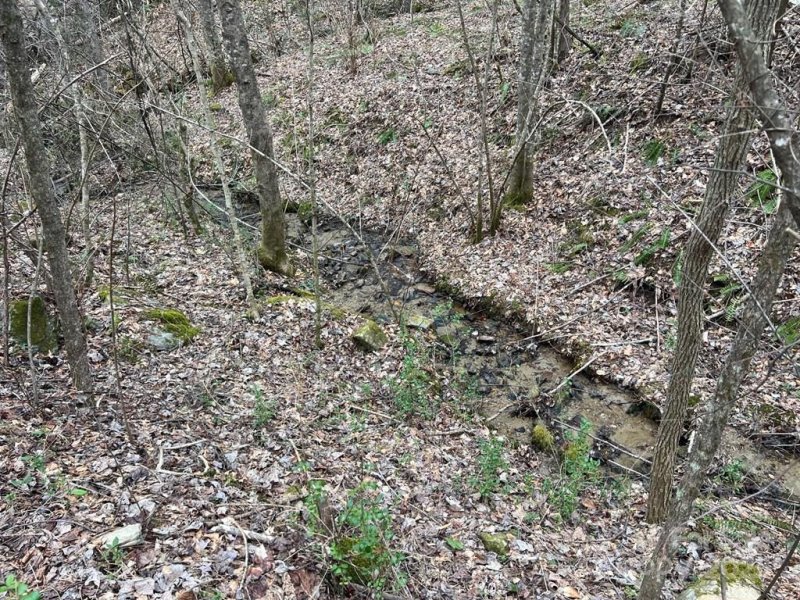 Property image 4 of 0 English Setter Trail in Barkers Creek Preserve, Whittier, NC 28789