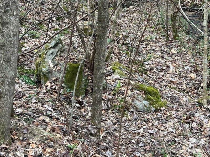 Property image 5 of 0 English Setter Trail in Barkers Creek Preserve, Whittier, NC 28789