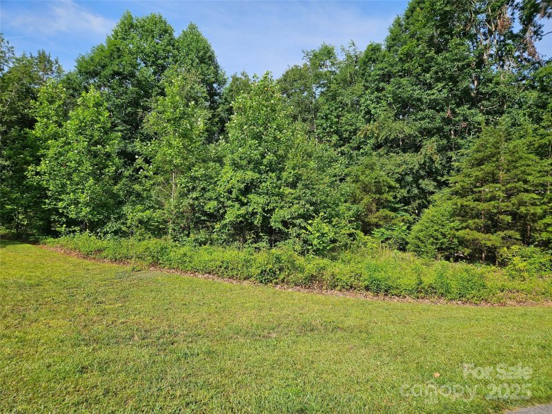 Property image 3 of 0 Shepherds Creek Circle in Gilbertown, Rutherfordton, NC 28139