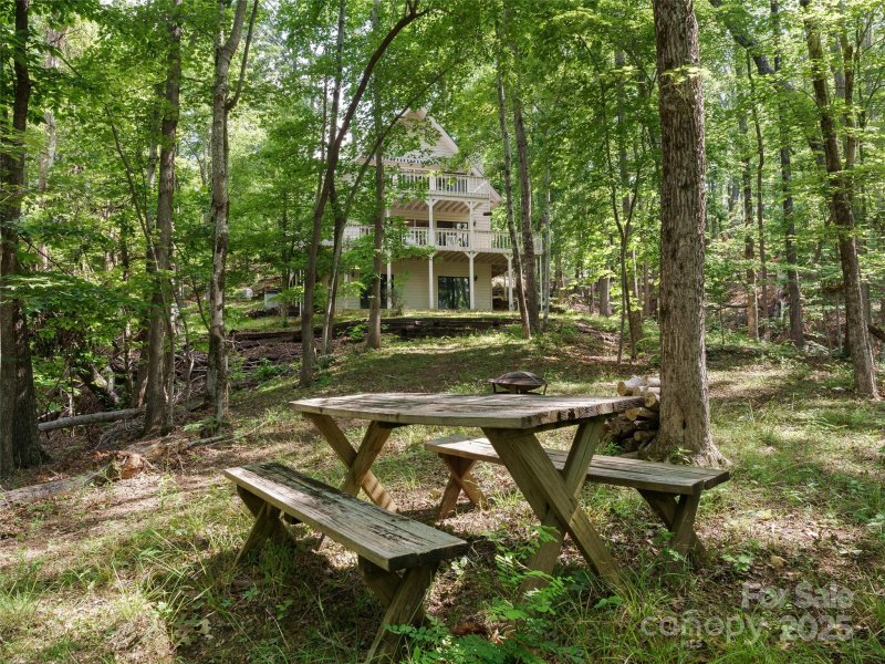 Property image 5 of 43 Hungryneck Hollow Lane in The Forest at Rixhaven, Saluda, NC 28773