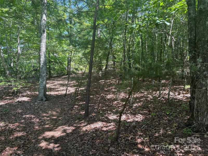 Property image 3 of 0 Crescent Ridge Lane in Grandview Peaks, Nebo, NC 28761