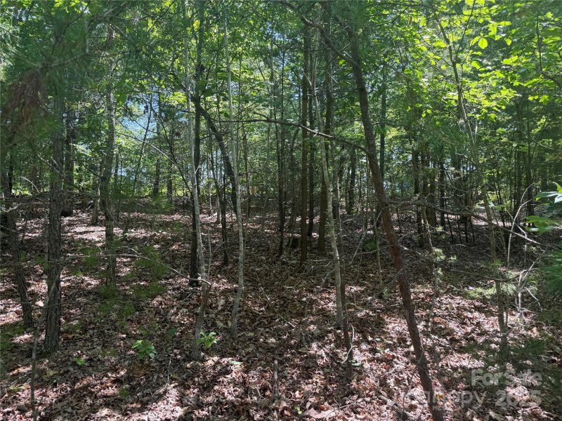 Property image 4 of 0 Crescent Ridge Lane in Grandview Peaks, Nebo, NC 28761