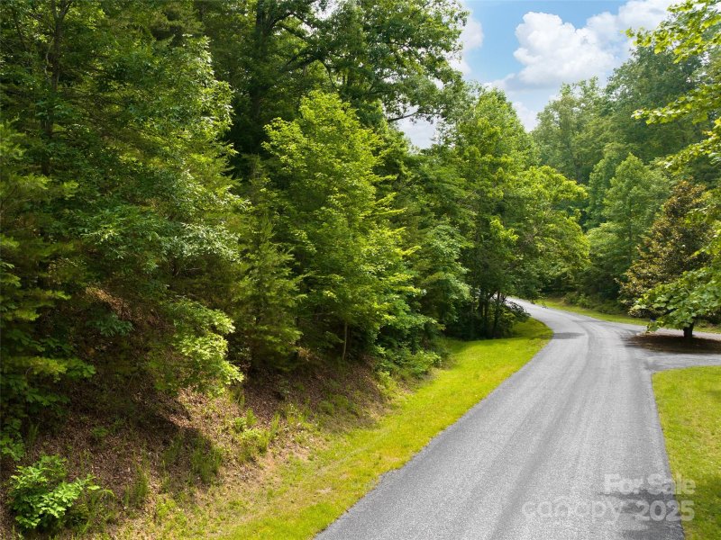 Property image 3 at Lot 4a South Cove Road, Mill Spring, NC 28756