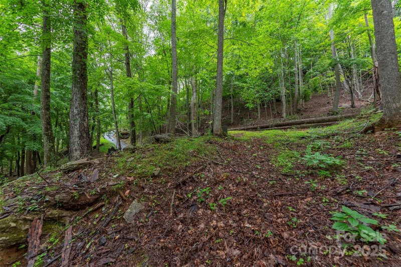 Property image 3 of 25 Hickory Springs Road in THE COVE AT CELO MOUNTAIN, Burnsville, NC 28714