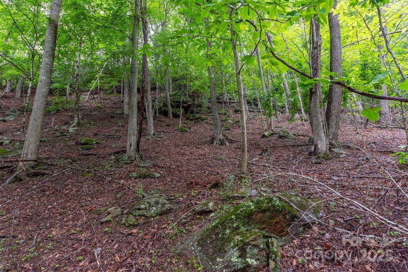 Property image 5 of 25 Hickory Springs Road in THE COVE AT CELO MOUNTAIN, Burnsville, NC 28714