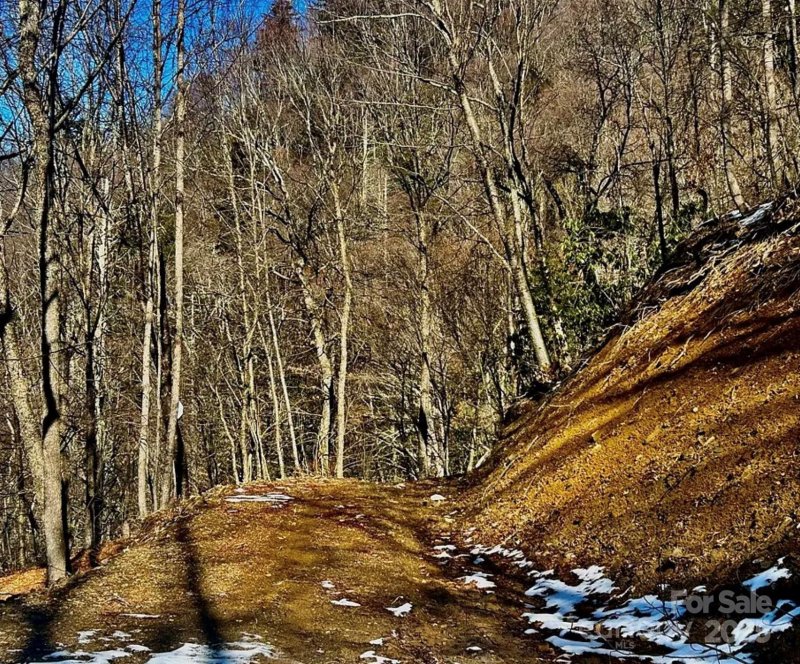 Property image 3 of 3689 Plott Balsam Road in Hornbuckle Parkway Section, Maggie Valley, NC 28779