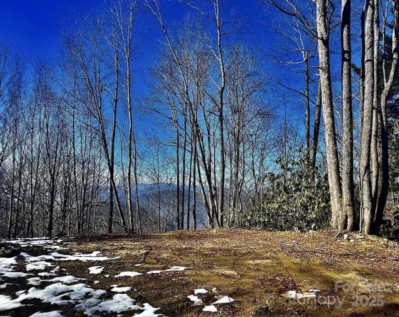 Property image 3 of 3837 Plott Balsam Road in Hornbuckle Parkway Section, Maggie Valley, NC 28779