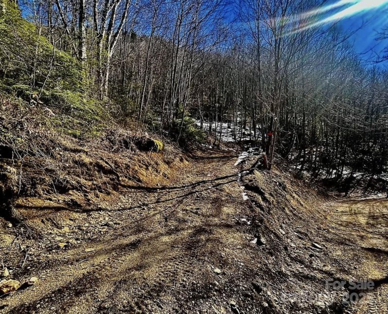 Property image 4 of 3837 Plott Balsam Road in Hornbuckle Parkway Section, Maggie Valley, NC 28779