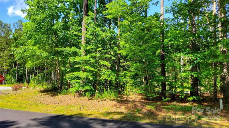 Property image 2 of 0000 Loblolly Lane in Ridgeview At Lake Lure, Mill Spring, NC 28756