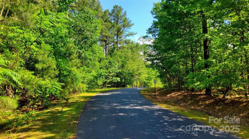 Property image 3 of 0000 Loblolly Lane in Ridgeview At Lake Lure, Mill Spring, NC 28756