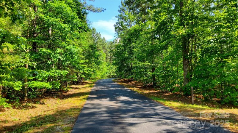 Property image 4 of 0000 Loblolly Lane in Ridgeview At Lake Lure, Mill Spring, NC 28756