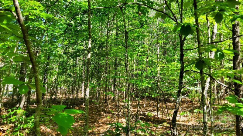 Property image 5 of 0000 Loblolly Lane in Ridgeview At Lake Lure, Mill Spring, NC 28756