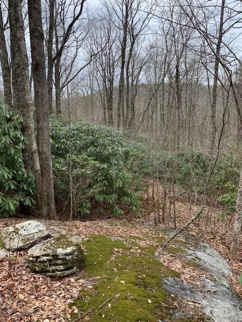 Property image 3 at 6219 Sunny Drive, Newland, NC 28657