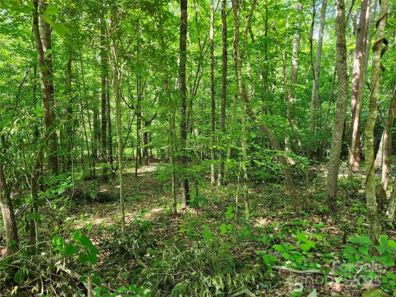 Property image 2 at 0000 Hayes Road, Columbus, NC 28722