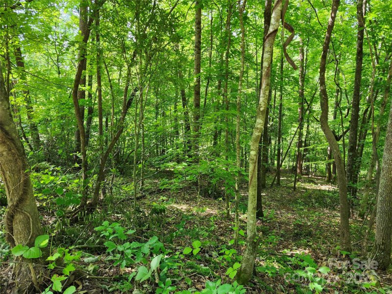 Property image 4 at 0000 Hayes Road, Columbus, NC 28722