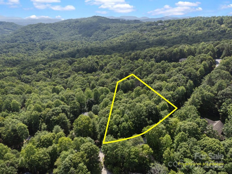 Property image 2 of 360 Kenmure Drive in Kenmure, Flat Rock, NC 28731