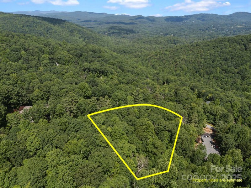 Property image 4 of 360 Kenmure Drive in Kenmure, Flat Rock, NC 28731